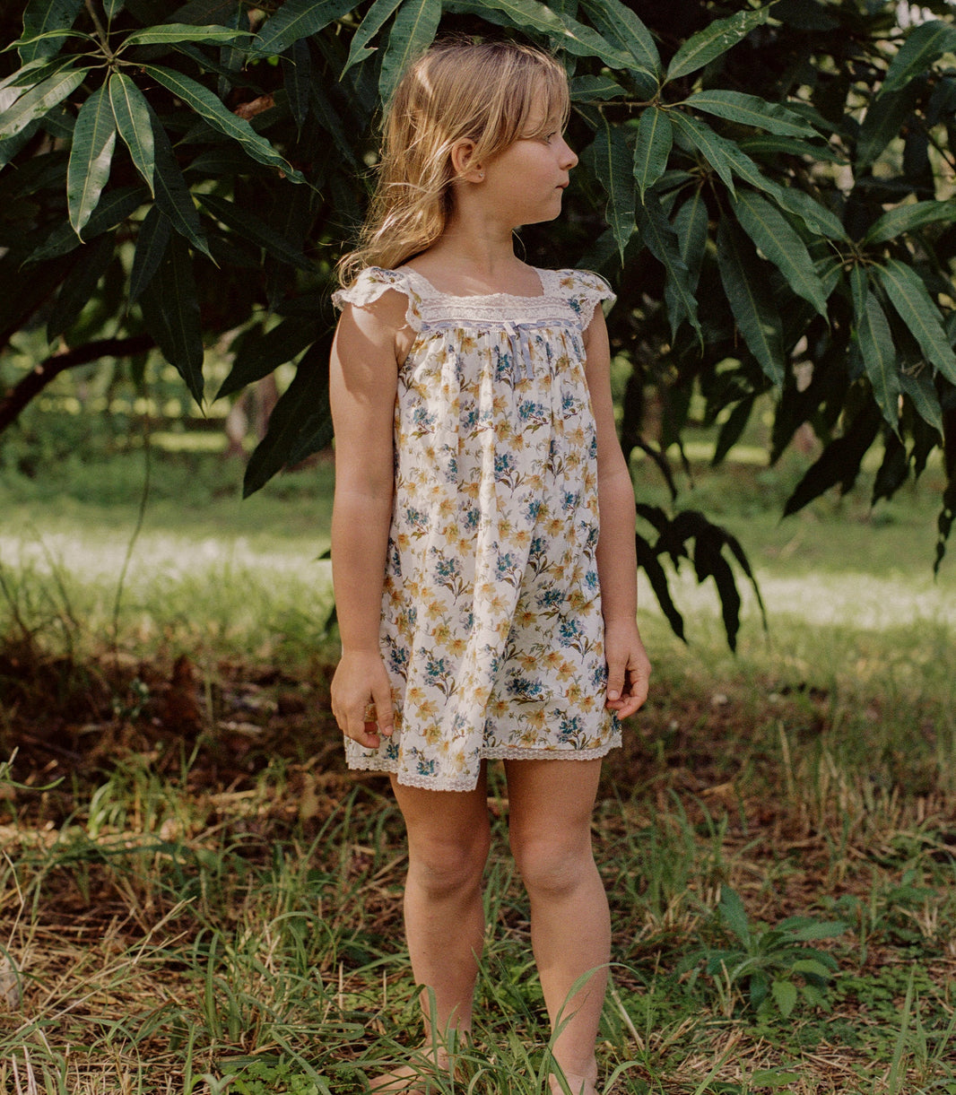 Dessa Dress in Narcissus Bloom