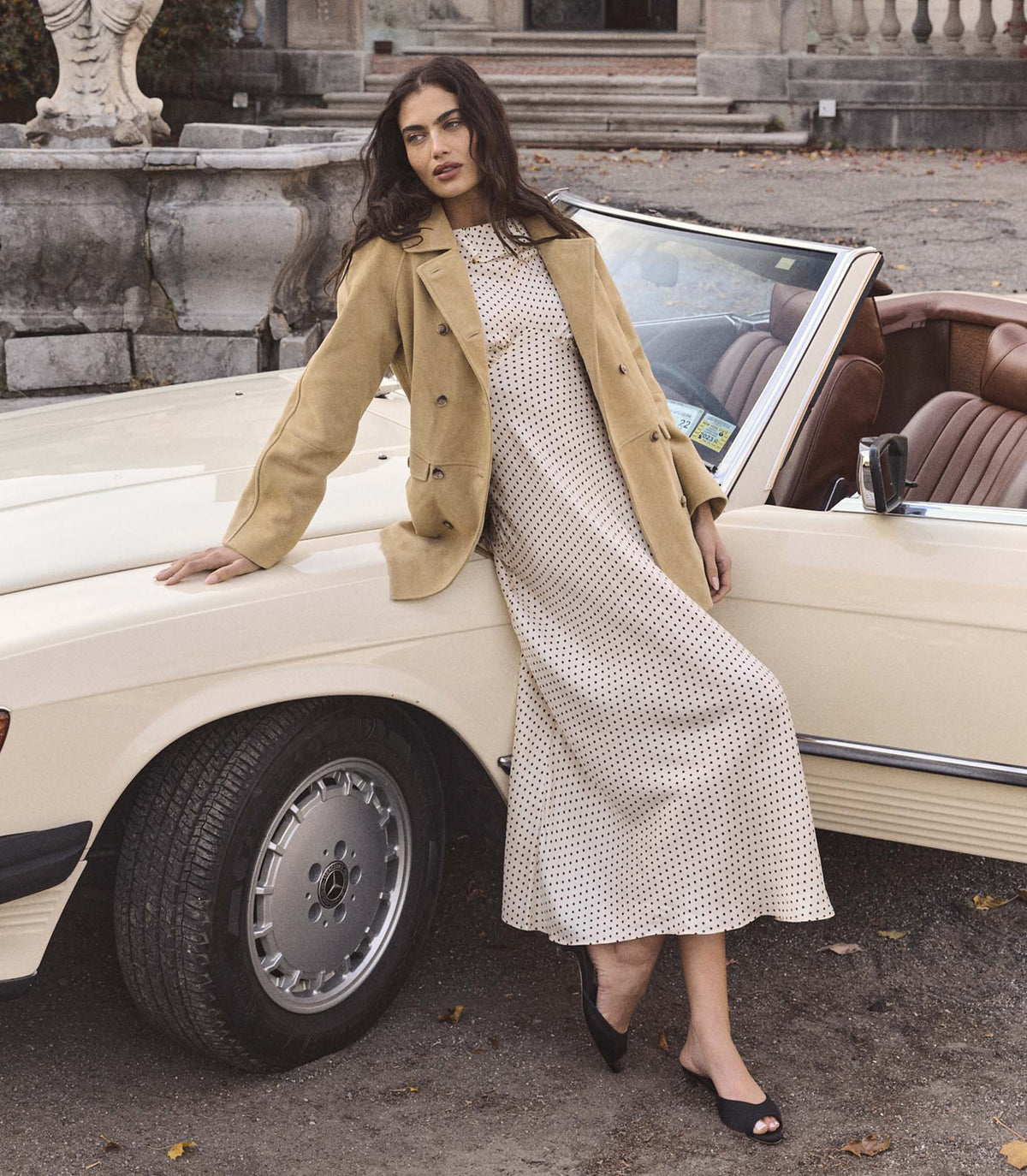 Emerence Dress in Crème Portia Dot, view 6