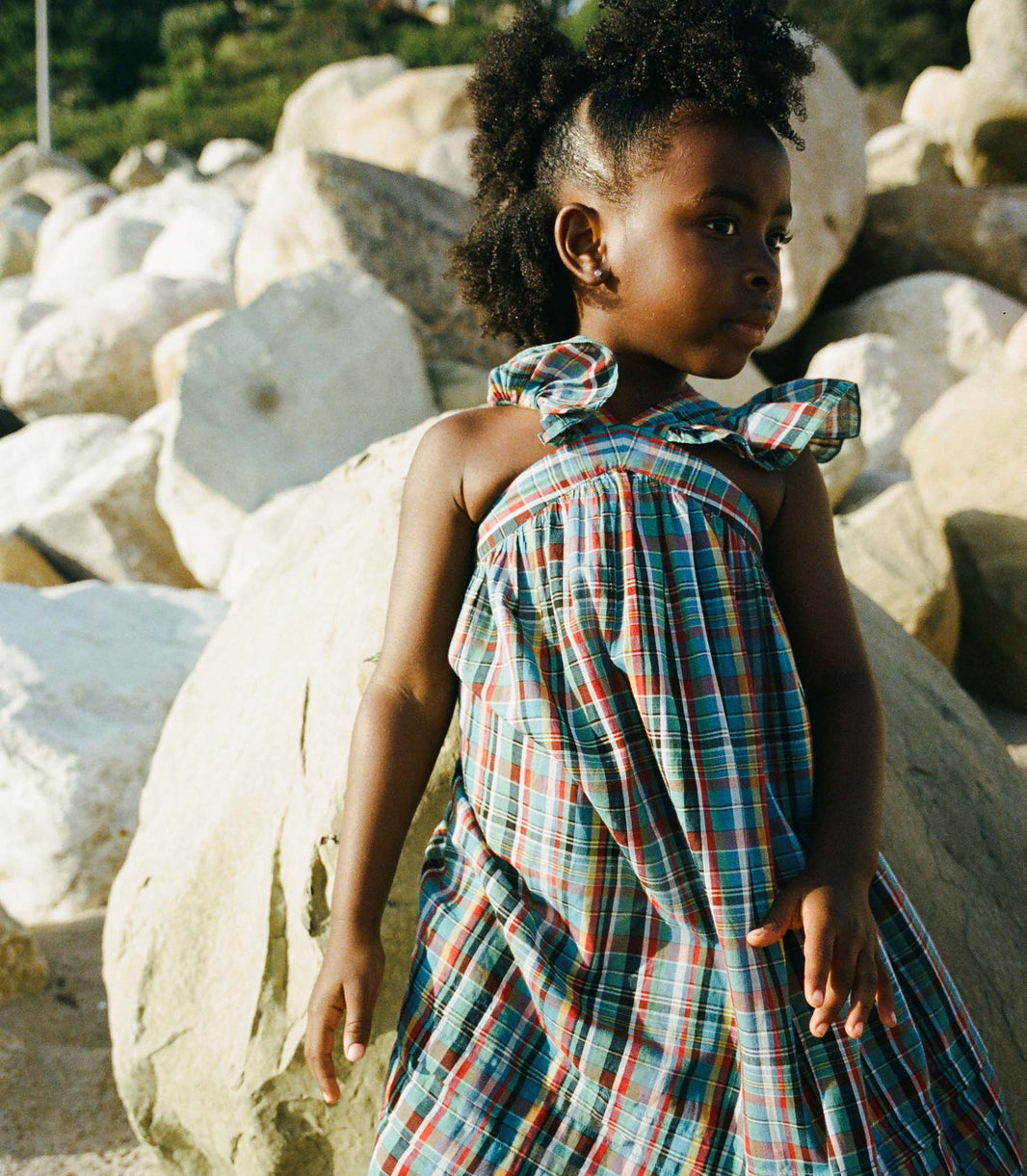 Little Nisha Dress in Alderbrook Plaid