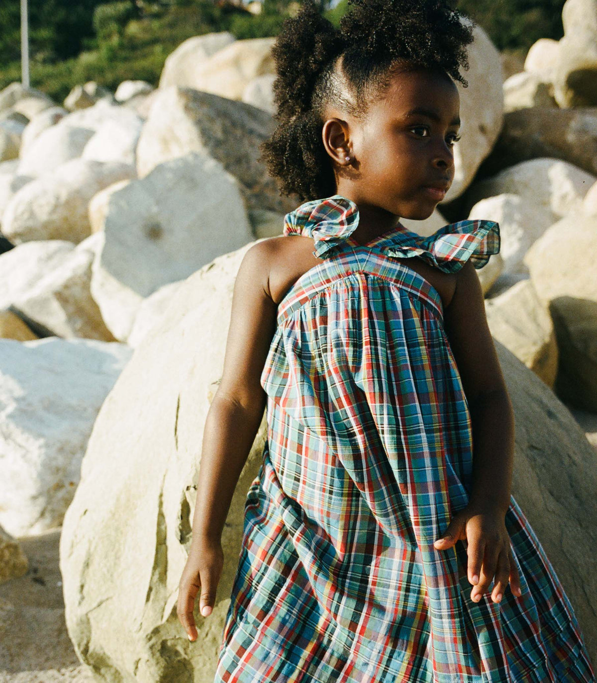 Little Nisha Dress in Alderbrook Plaid
