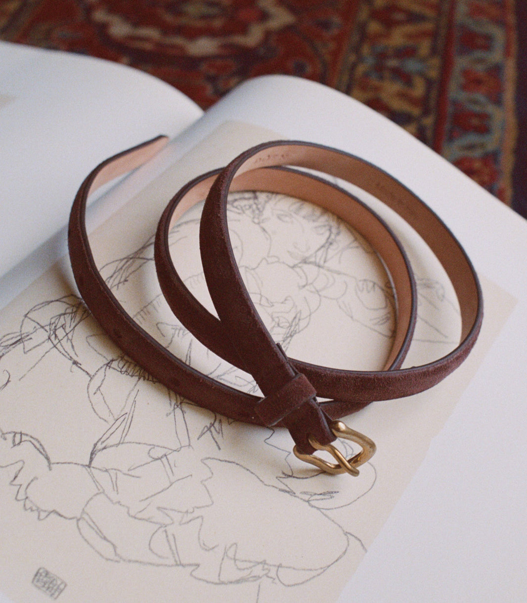 Zaza Belt in Equestrian Brown Suede